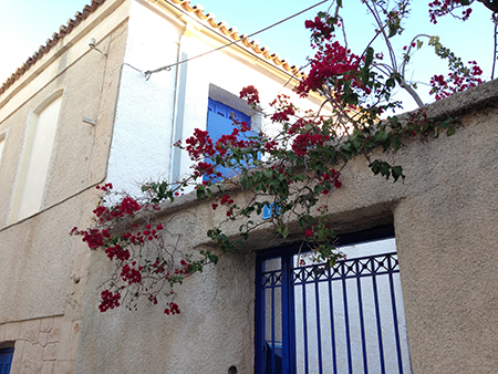 �M���V���̉�