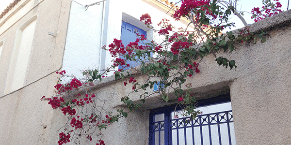 ���~�x��